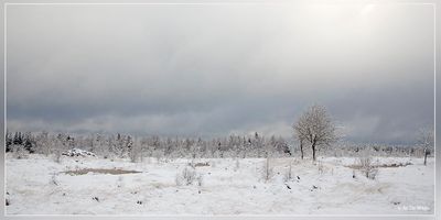 _MG_6690.jpg