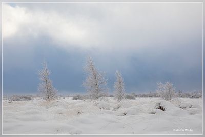 _MG_6709.jpg