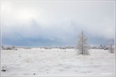 _MG_6711.jpg