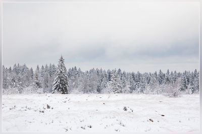 _MG_6733.jpg