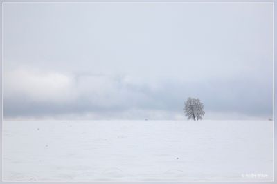 _MG_6748.jpg