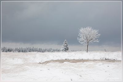 _MG_6757.jpg