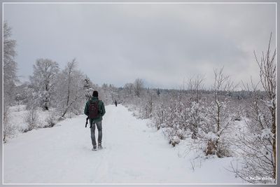 _MG_6782.jpg