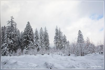 _MG_6799.jpg