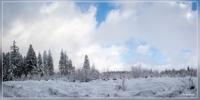 _MG_6800-6802kopie.jpg