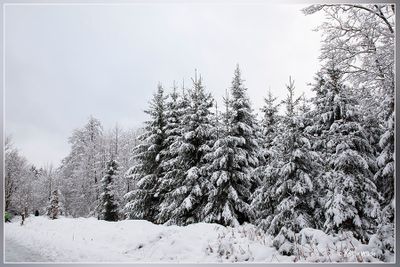 _MG_6889.jpg