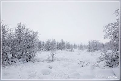 _MG_6916.jpg