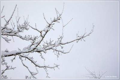 _MG_6919.jpg