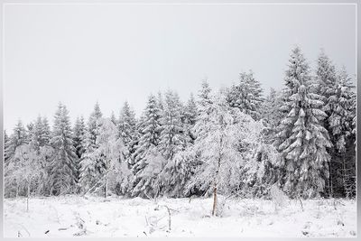 _MG_6923.jpg