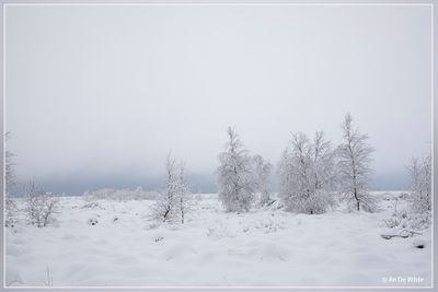 _MG_6928.jpg