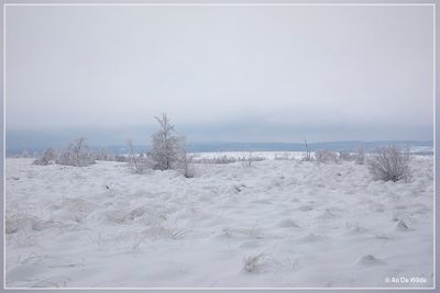 _MG_6934.jpg