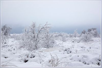_MG_6941.jpg