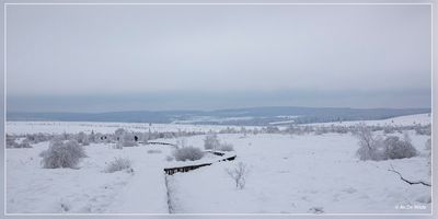 _MG_6946.jpg