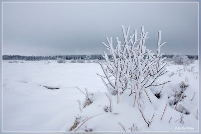 _MG_6950.jpg