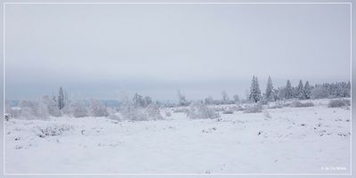 _MG_6956.jpg