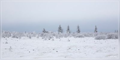 _MG_6960.jpg