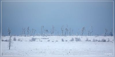 _MG_6982.jpg