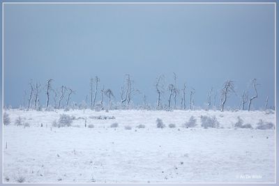 _MG_6996.jpg