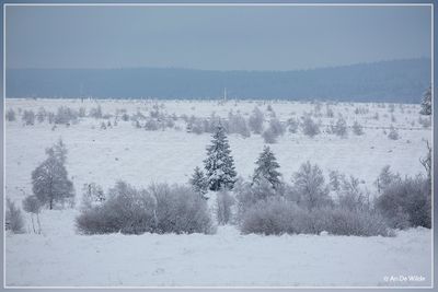 _MG_7005.jpg