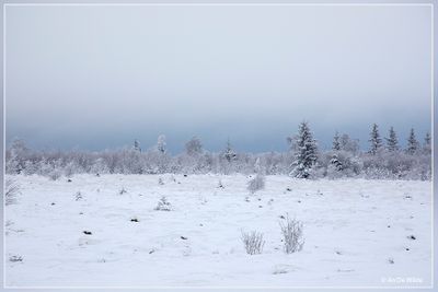 _MG_6970.jpg