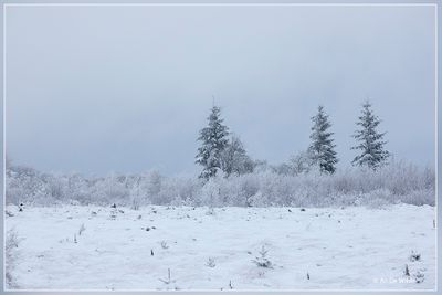 _MG_7013.jpg