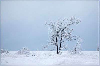 _MG_7028.jpg