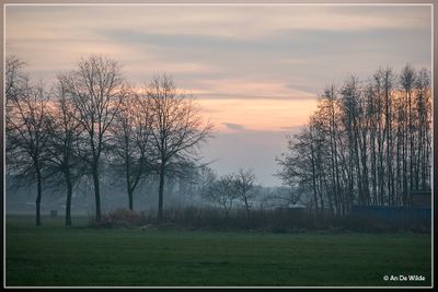 _MG_7312.jpg