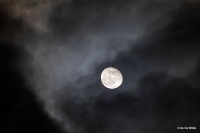 _MG_8177.jpg