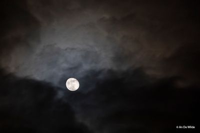 _MG_8207.jpg