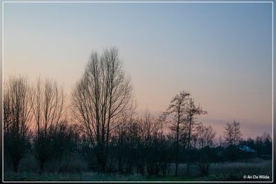 _MG_9128.jpg