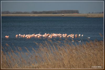 _MG_8612.jpg