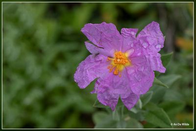 _MG_1514.jpg
