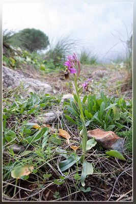 _MG_2120.jpg