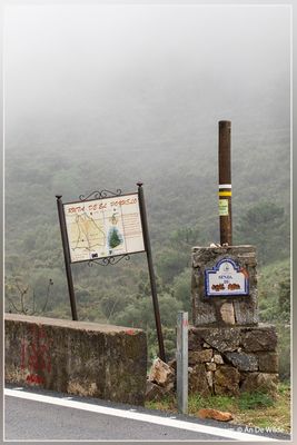 _MG_2810.jpg