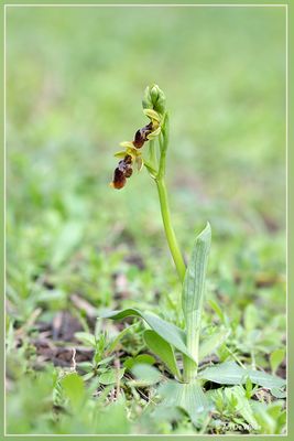 _MG_3048-3050+3053.jpg