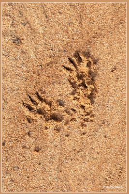 _MG_3907.jpg