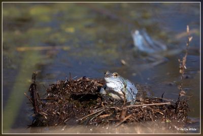 _MG_7144.jpg