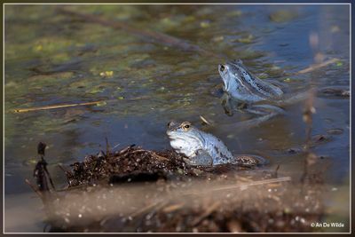 _MG_7149+7150.jpg