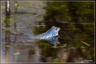 _MG_7265.jpg