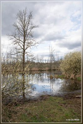 _MG_7602.jpg