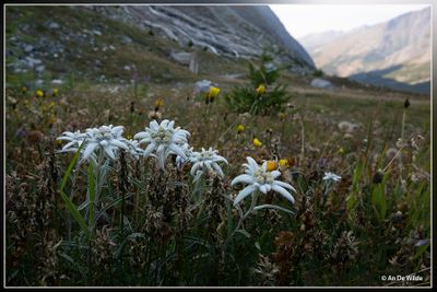 _MG_3710.jpg