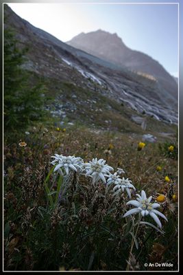 _MG_3719.jpg
