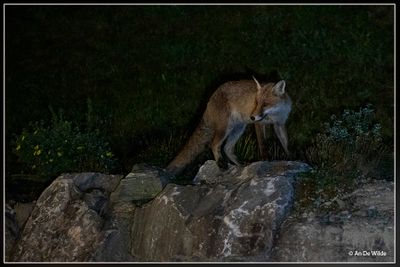 _MG_3858.jpg