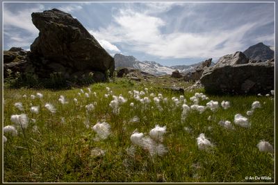 _MG_4075.jpg