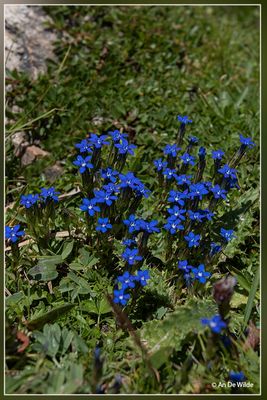 _MG_4095.jpg