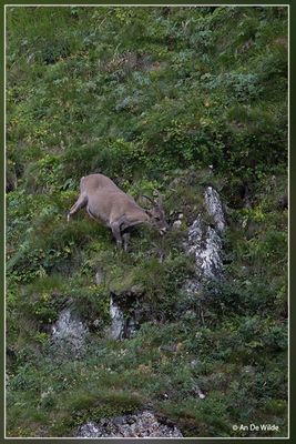 _MG_4324.jpg