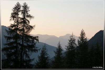 _MG_4448.jpg