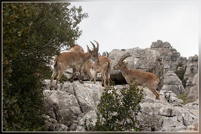 _MG_1882.jpg