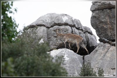 _MG_1887.jpg