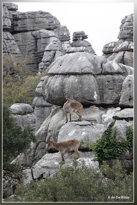 _MG_1891.jpg